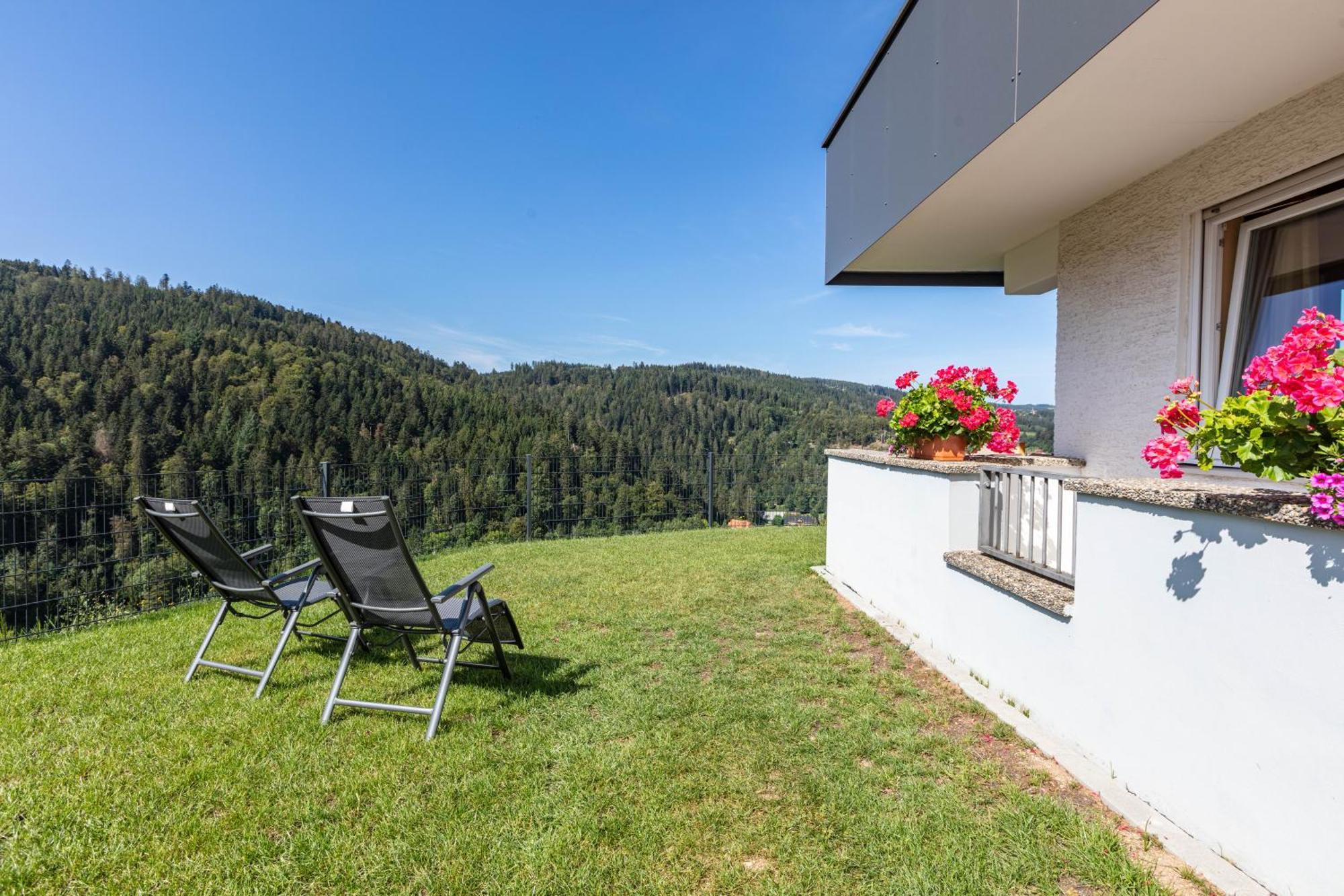 Апартаменты Triberg Blick Триберг Экстерьер фото