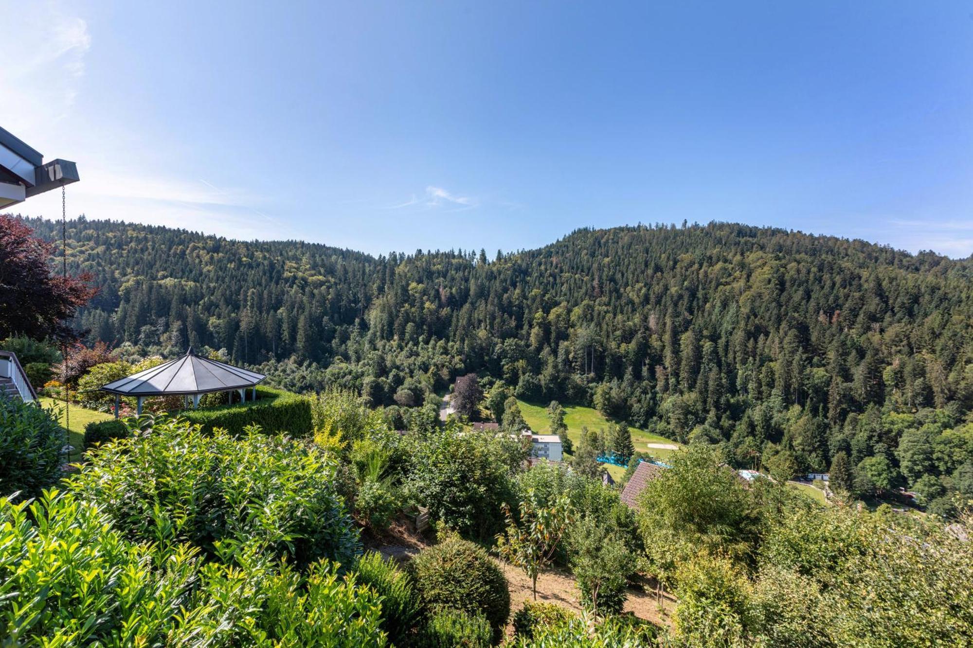 Апартаменты Triberg Blick Триберг Экстерьер фото