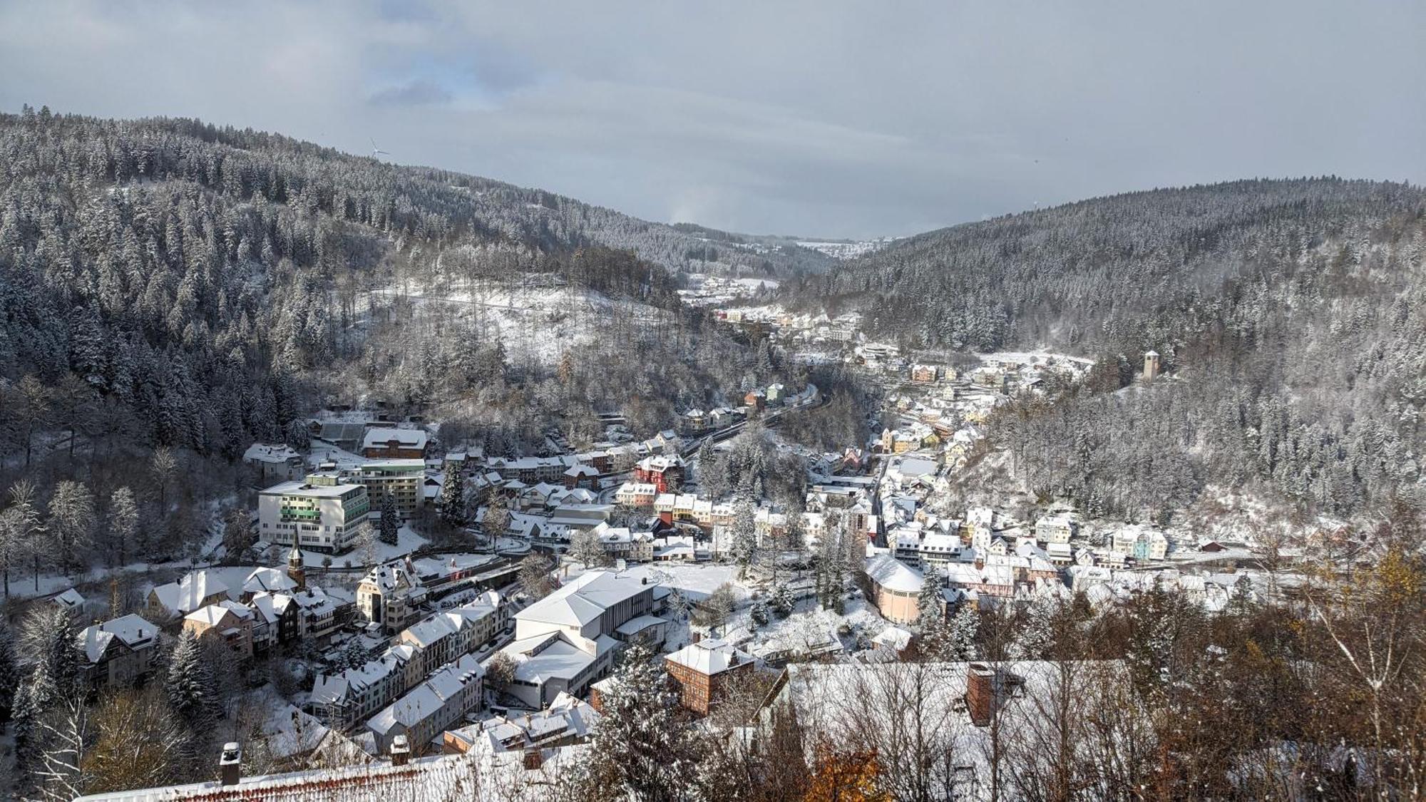 Апартаменты Triberg Blick Триберг Экстерьер фото